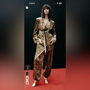 Zara Metallic velvet thread ballon pants S